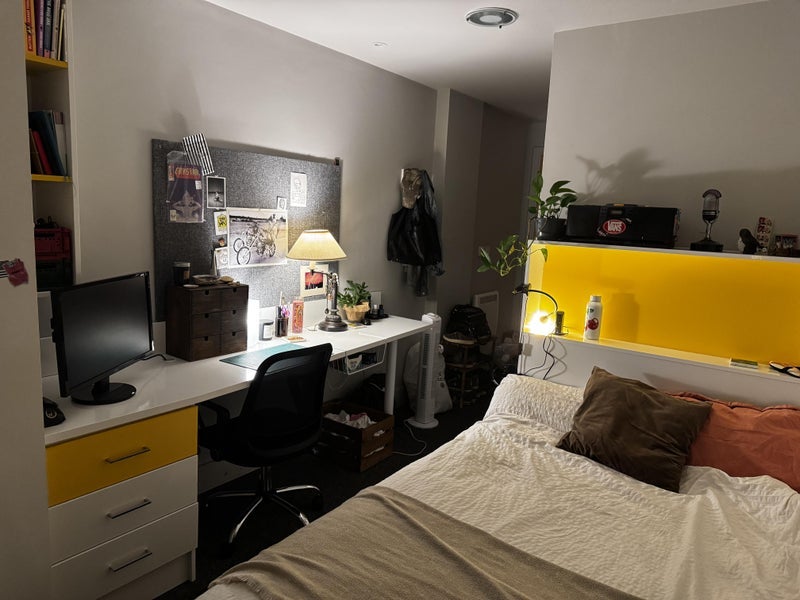 Room Steedman Street in Greater London