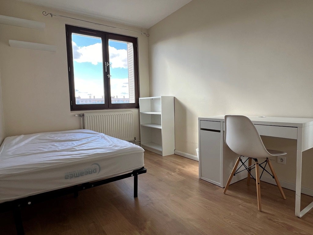 Flat Rue Chevreul in Villeurbanne