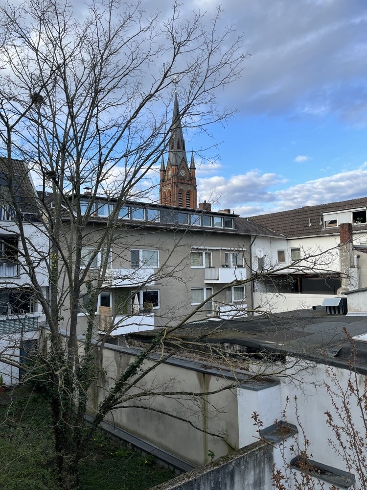Wohnung Markt in Bonn