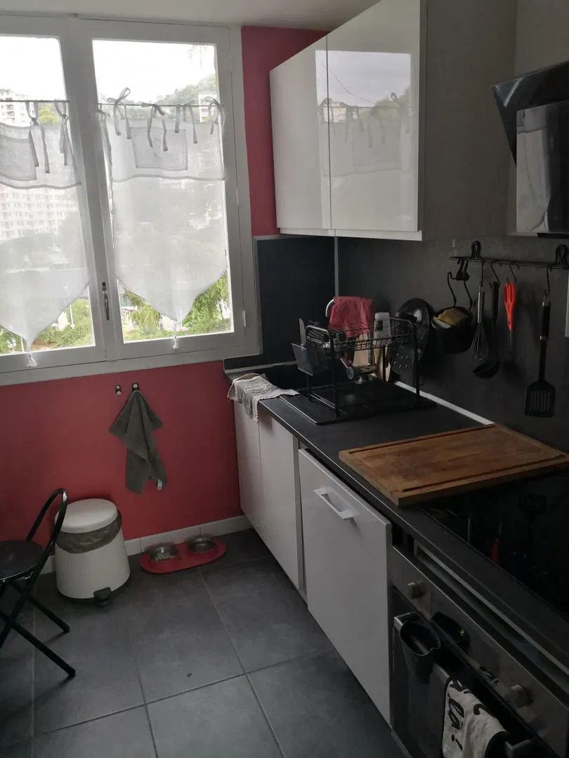 Appartement Avenue du Ray à Nice