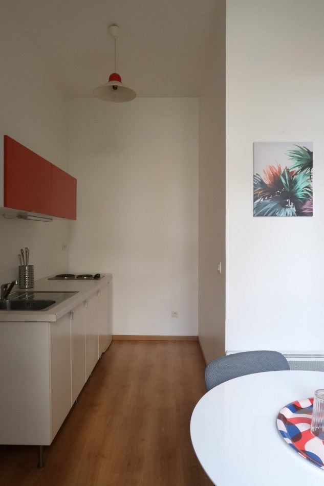 Flat Rue De l'Enseigne Roux in Saint-Étienne