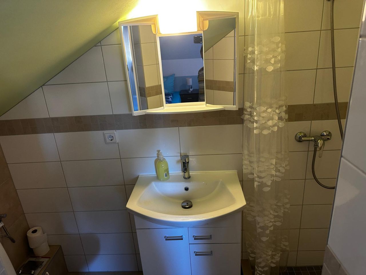 Wohnung Zinzendorfstraße in Radebeul