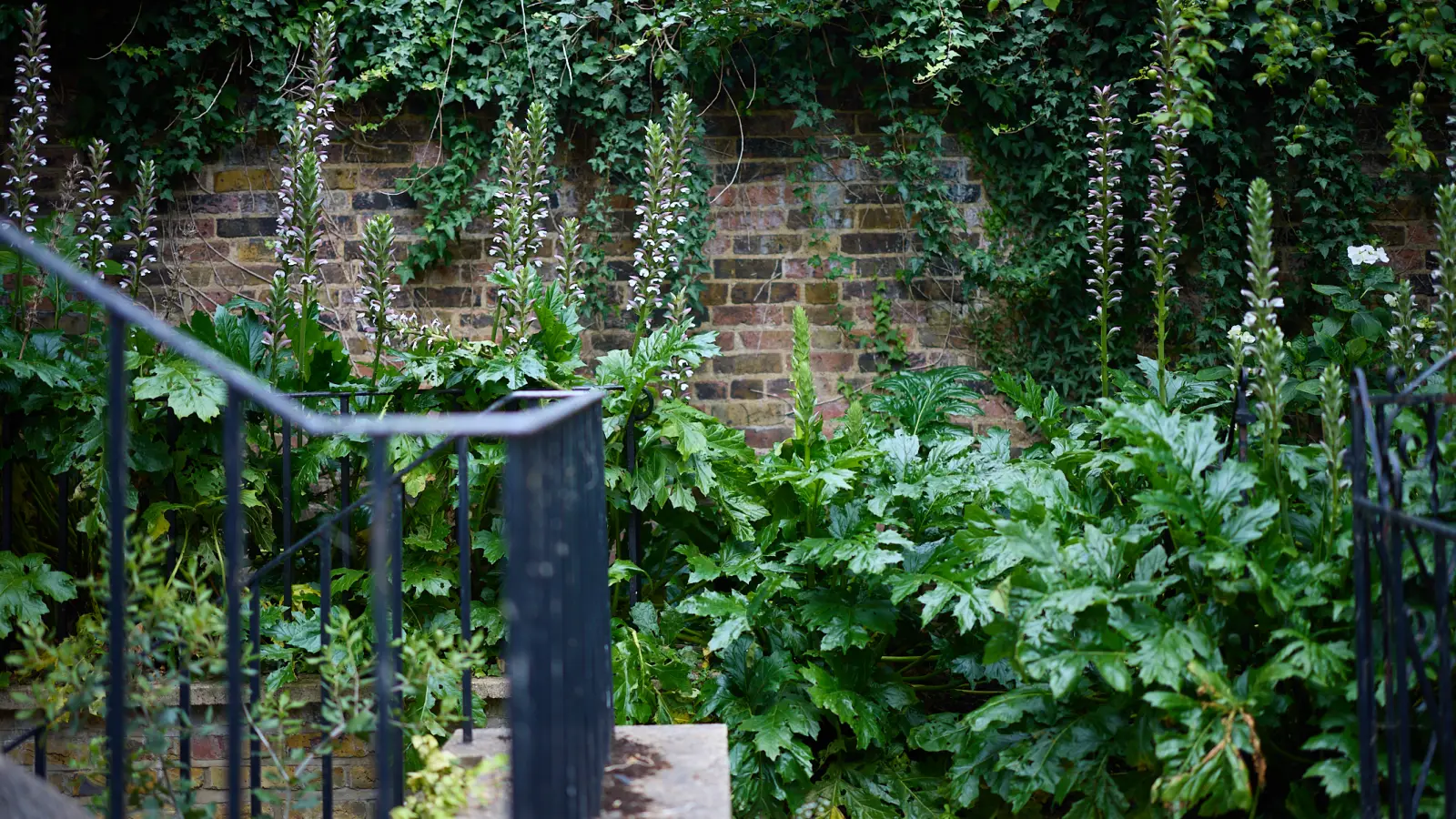 Flat Oaklands Place in Greater London