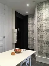 Flat Rue Lesdiguières in Grenoble