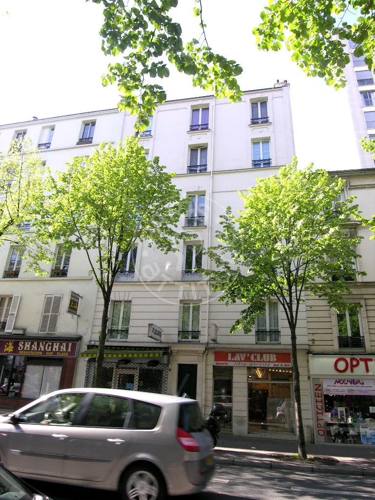 Flat Rue de Vouillé in Paris