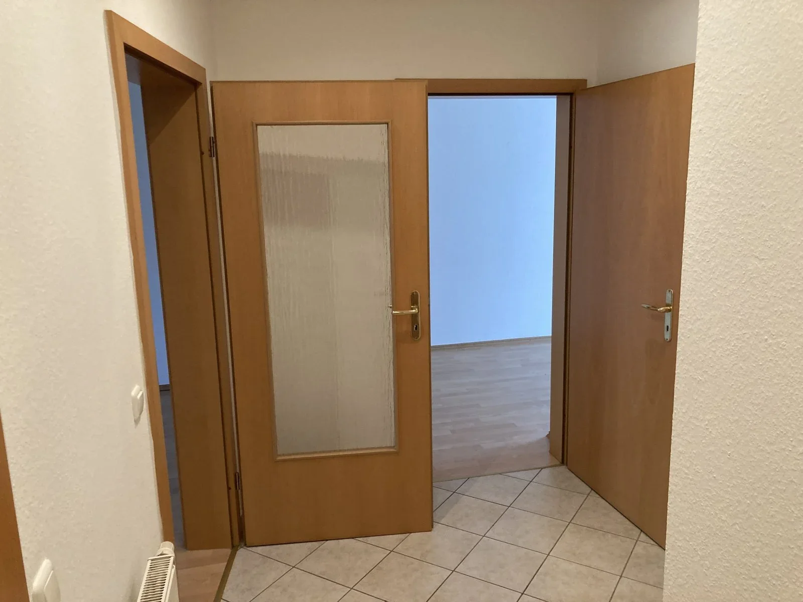 Wohnung Lassallestraße in Zwickau