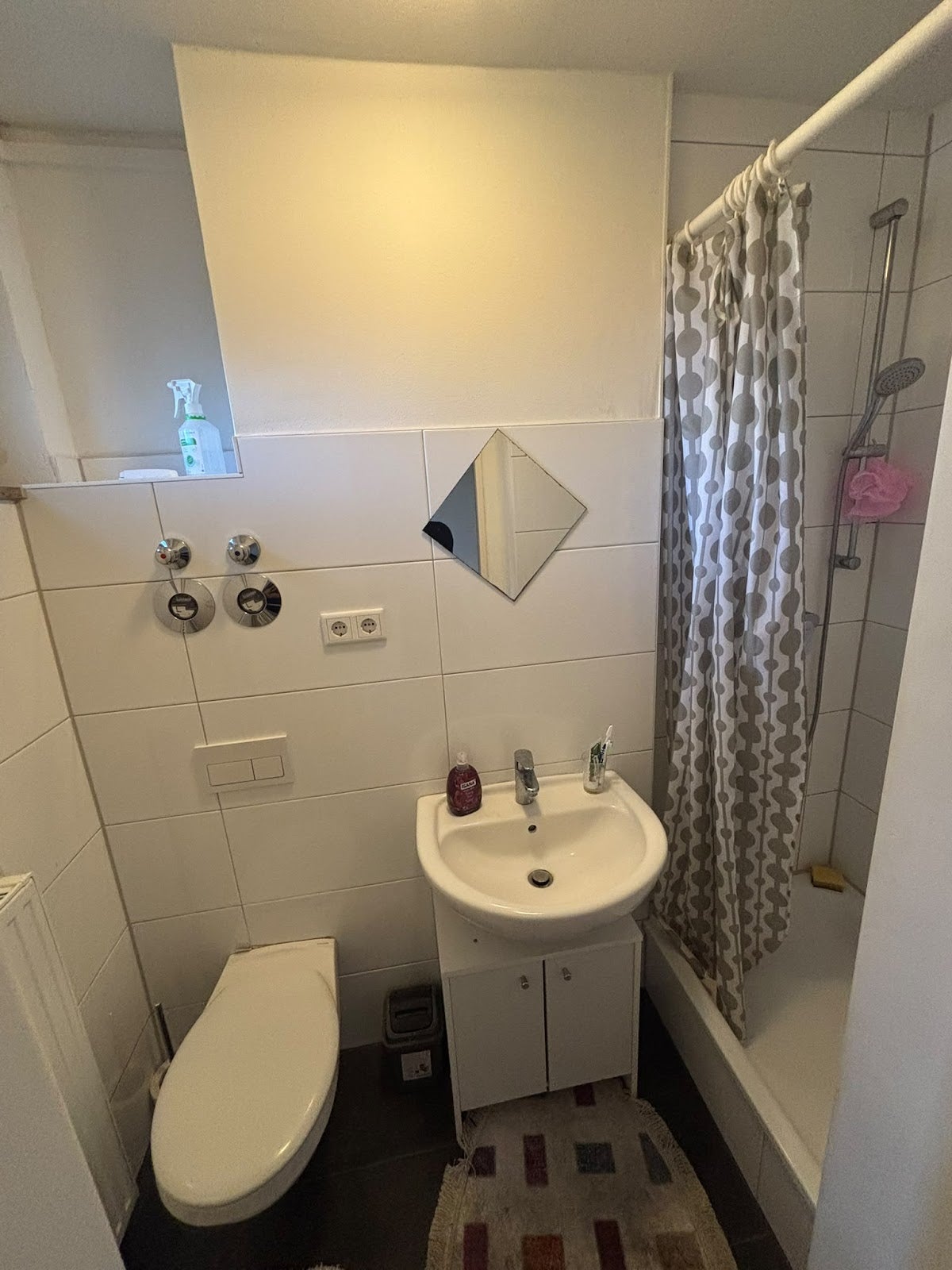 Wohnung Fridtjof-Nansen-Straße in Delmenhorst