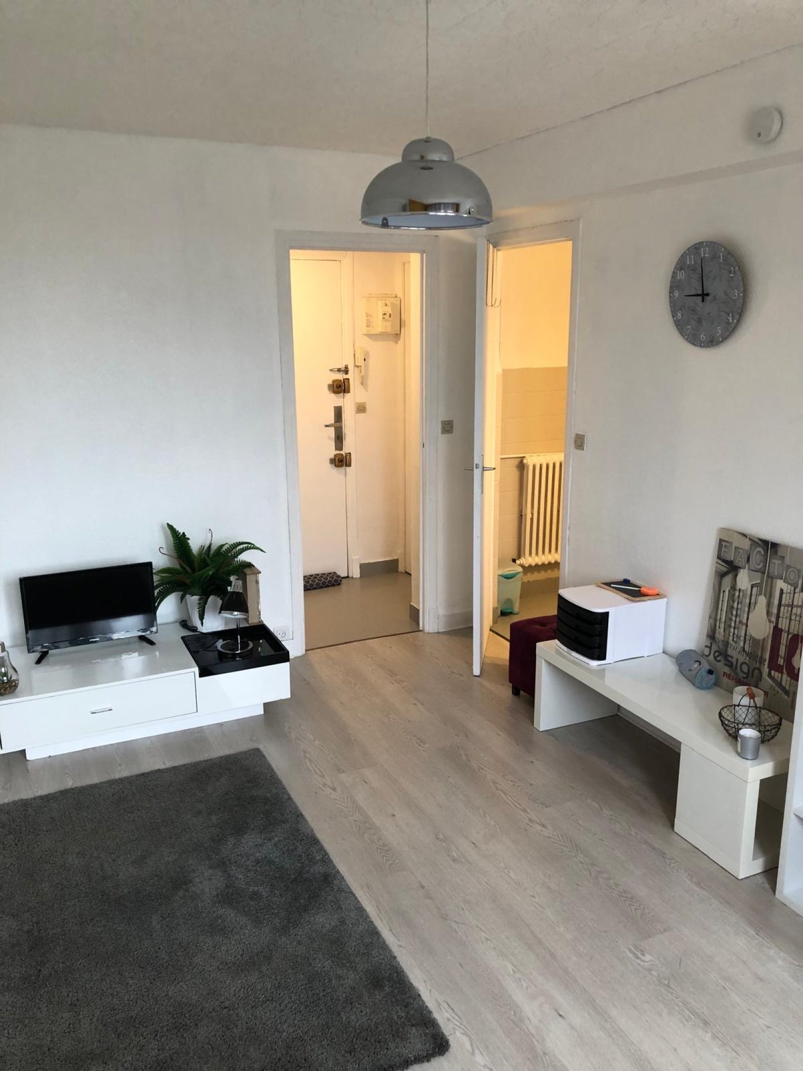 Appartement Allée Paul Sabatier à Toulouse