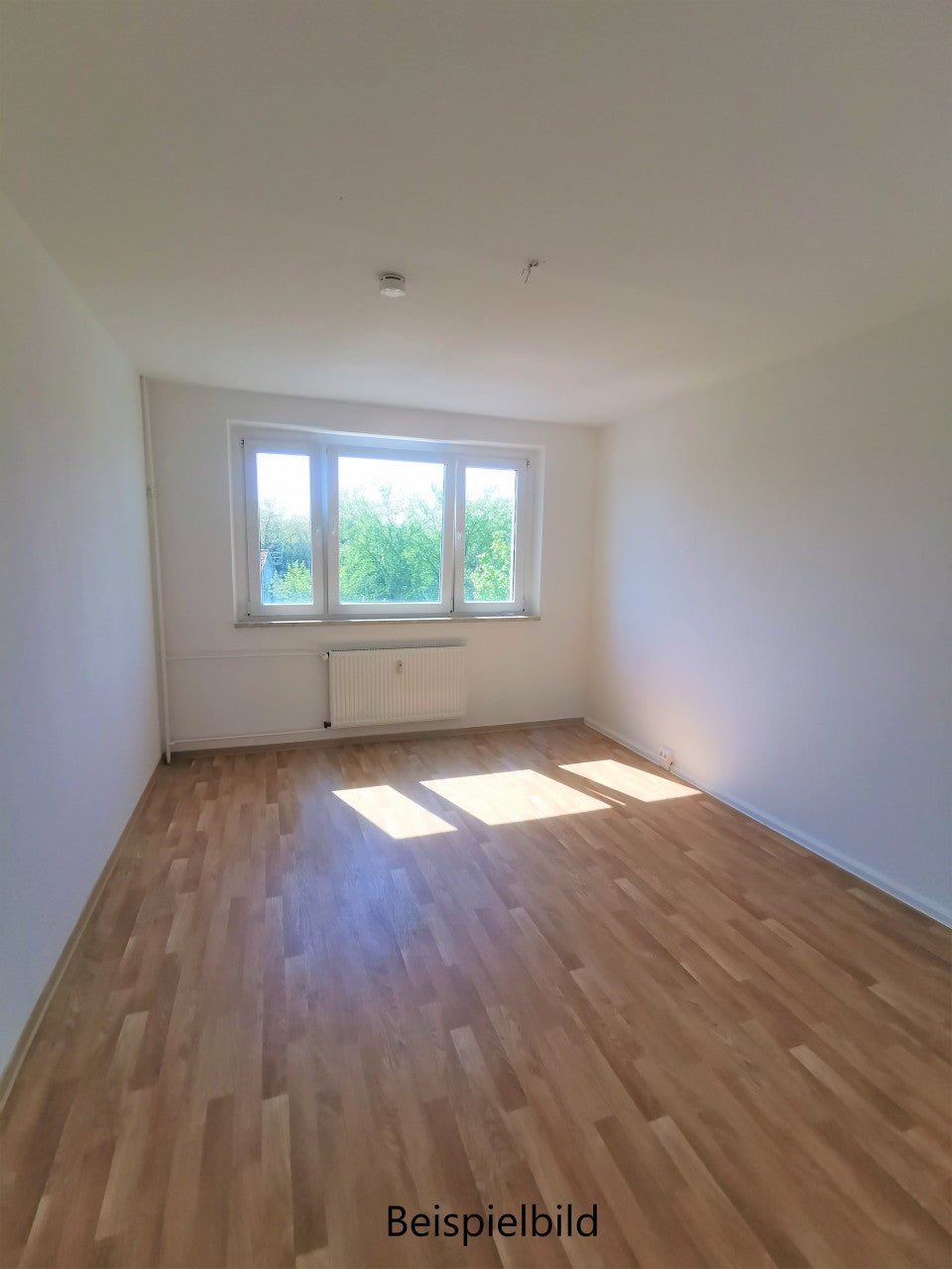 Wohnung Weißenfelser Straße in Braunsbedra