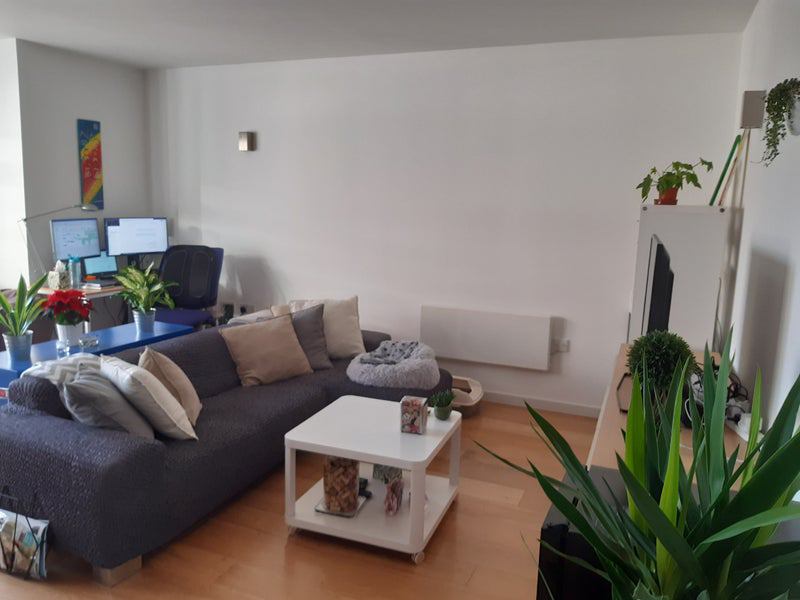 Flat Goulden Street in Manchester