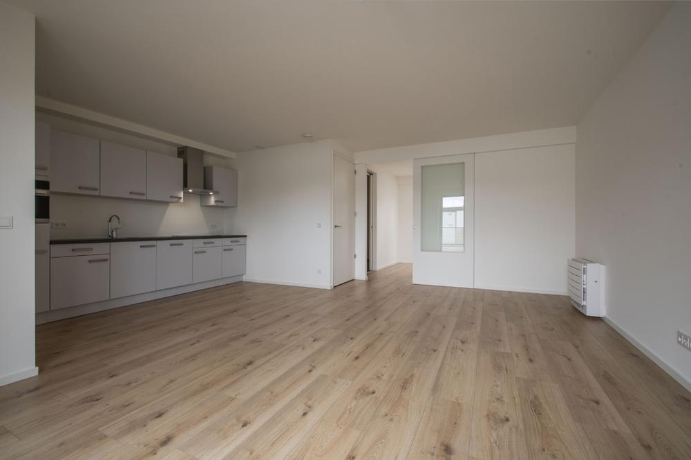 A rental house advertisment