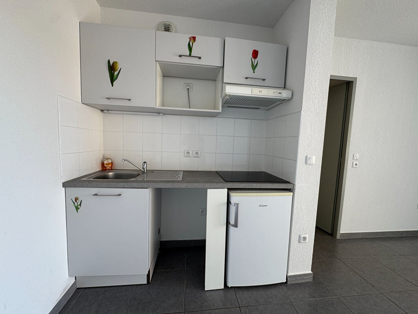 Appartement Avenue du Maréchal Leclerc à Saint-Cyprien