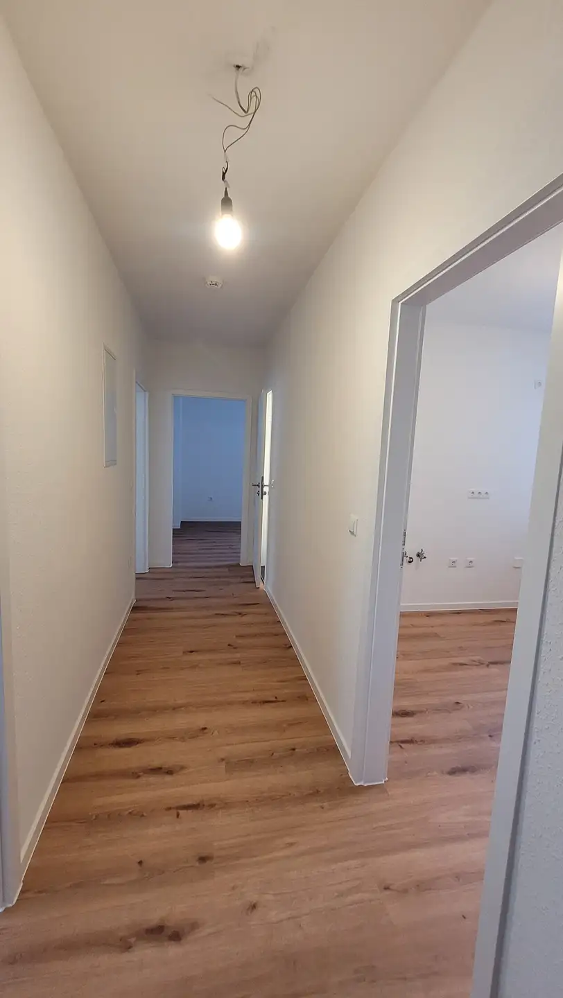 Wohnung Rennelbergstraße in Braunschweig