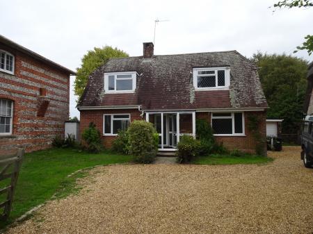 Flat Martin Drove End in New Forest