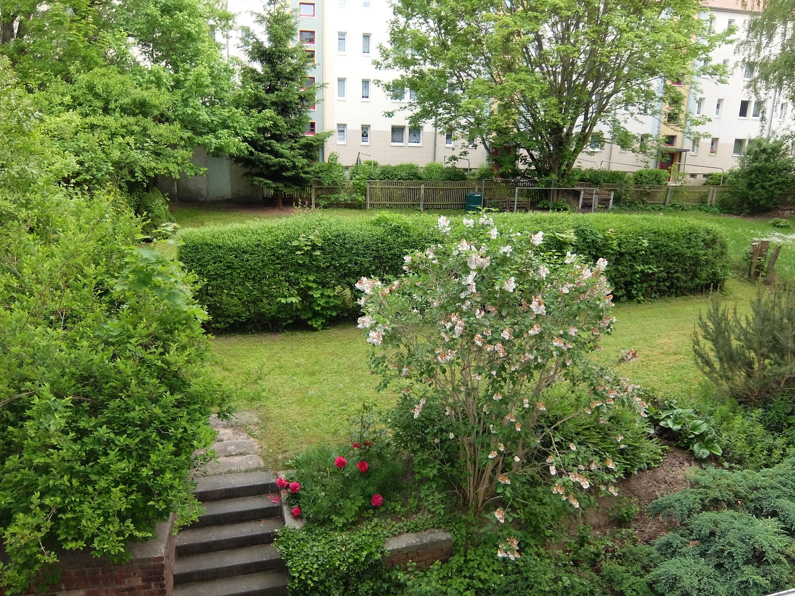 Wohnung Neefestraße in Chemnitz