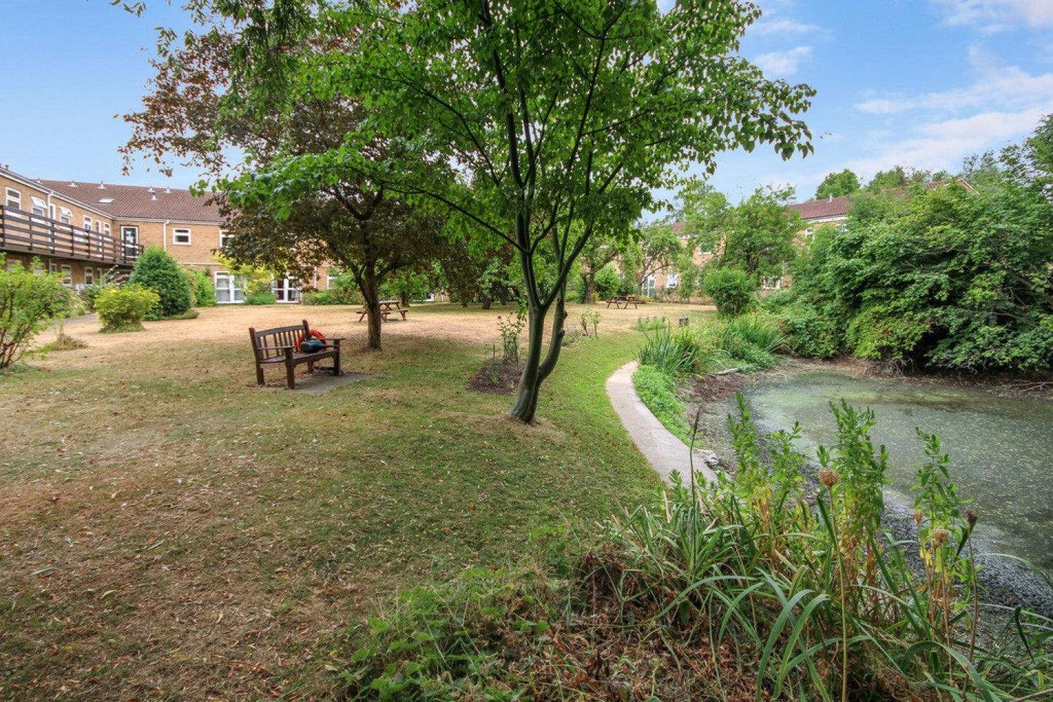 Flat Oyster Row in Cambridge
