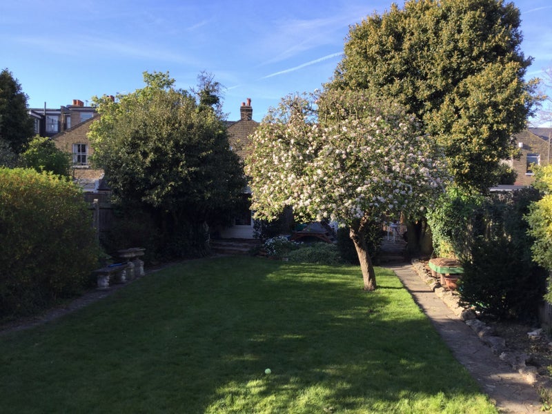 Room Atkins Road in Greater London