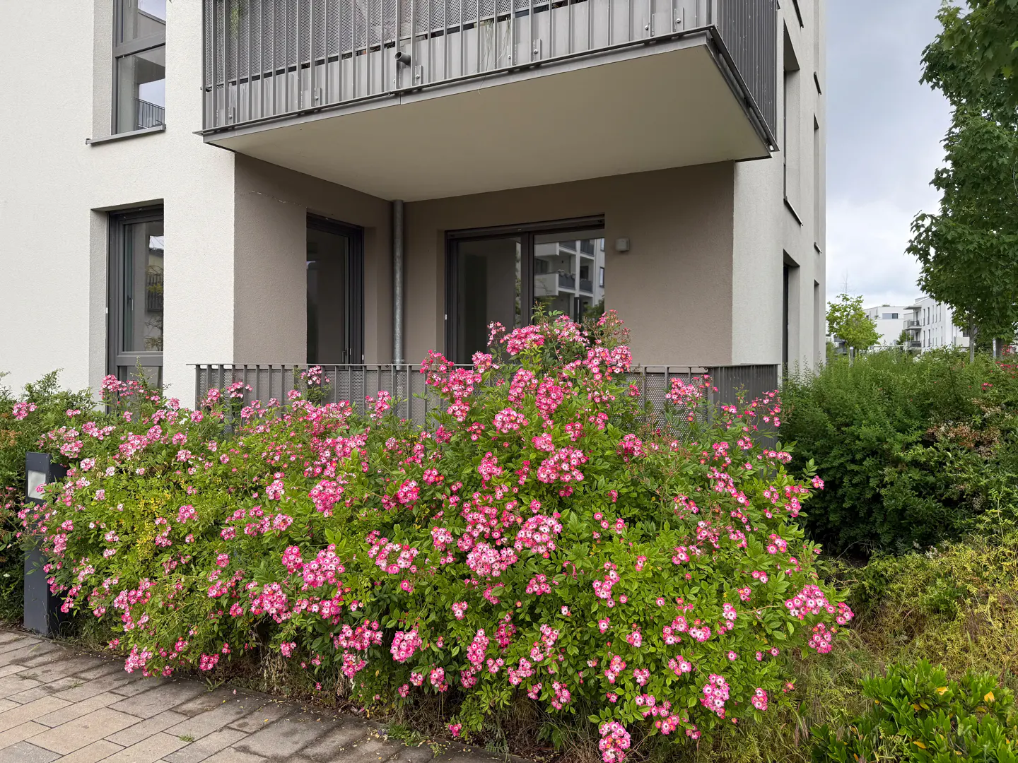 Wohnung Relingstraße in Berlin