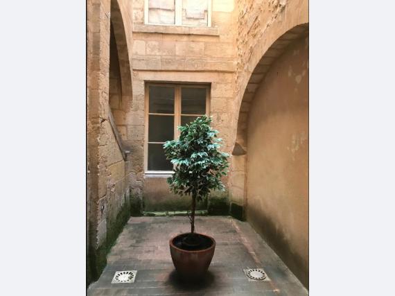 Appartement Rue duffour-dubergier à Bordeaux