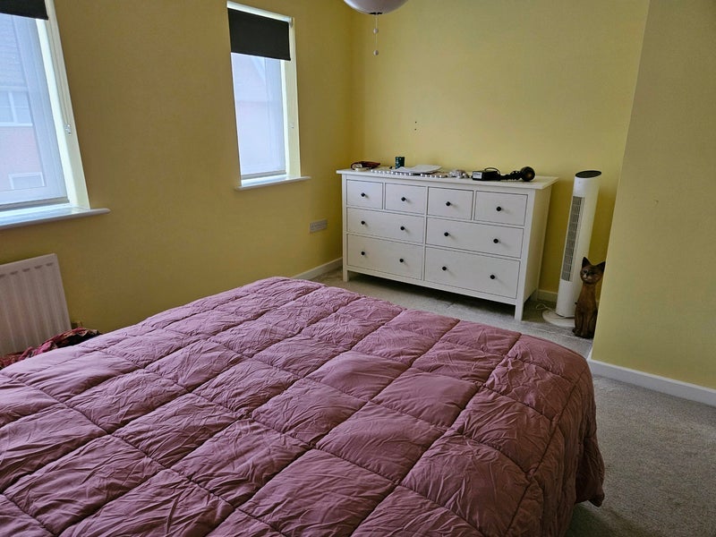 Room Elderberry Road in West Suffolk