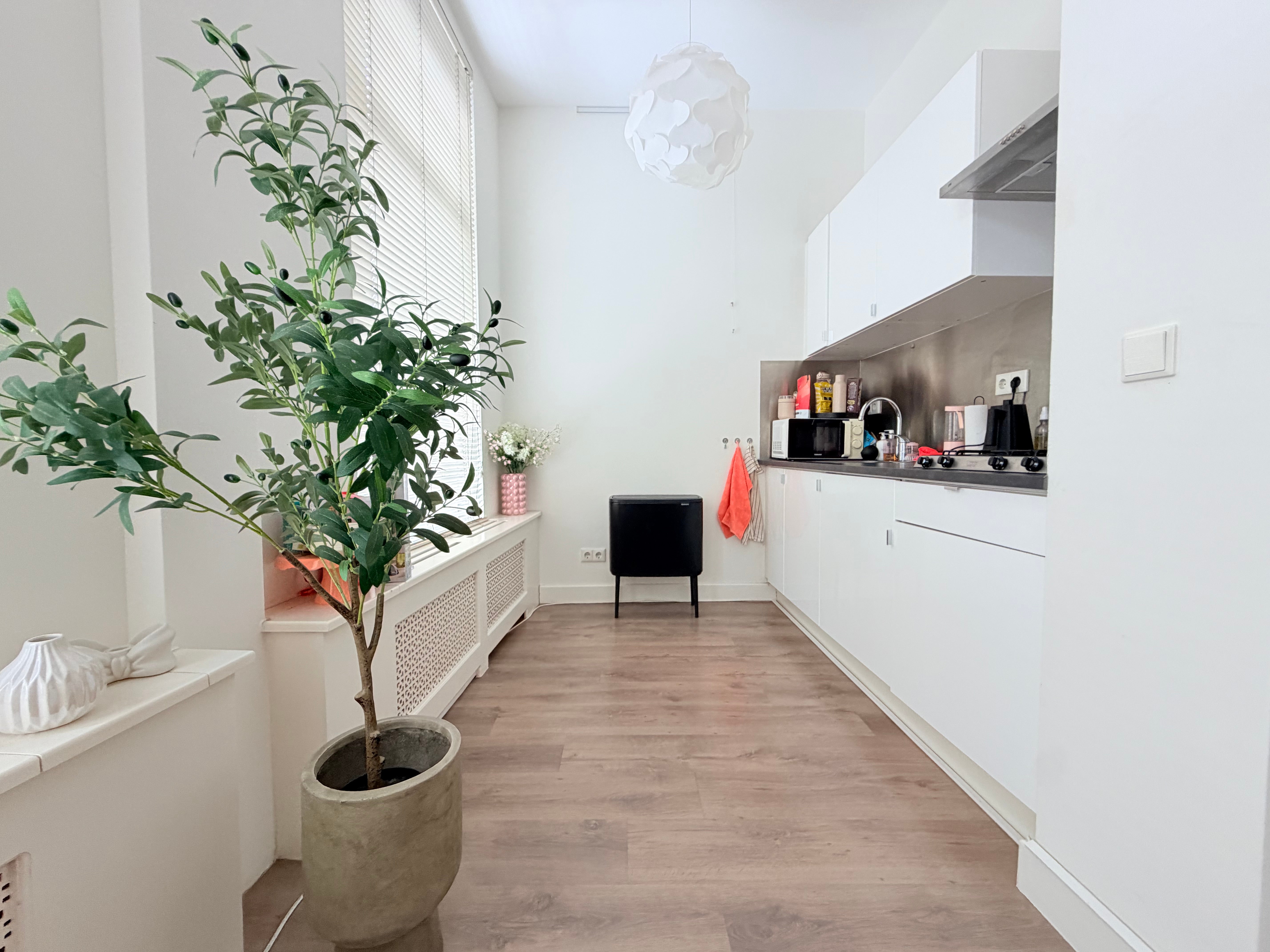 Studio te huur: Noorderbeekdwarsstraat 3, 'S-Gravenhage