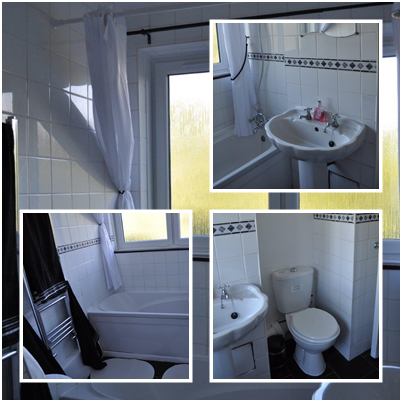 Room Plough Way in Greater London