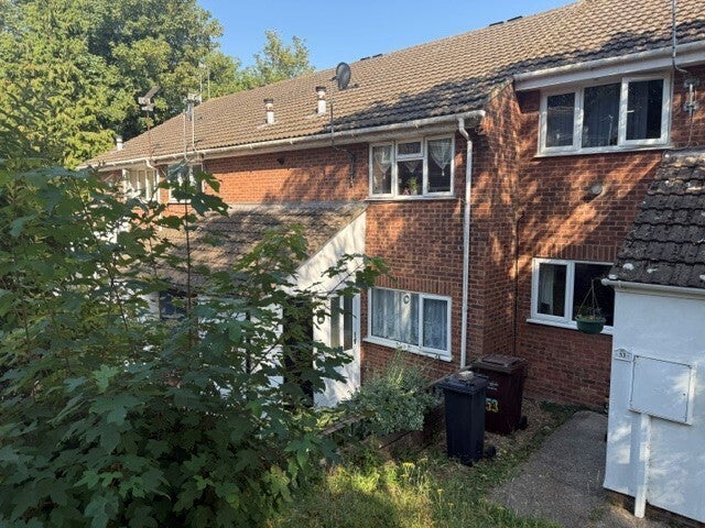 Flat Pine Grove in Gillingham