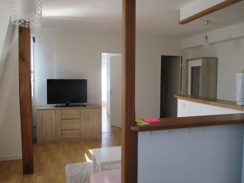 Appartement Route d'Olivet à Orléans