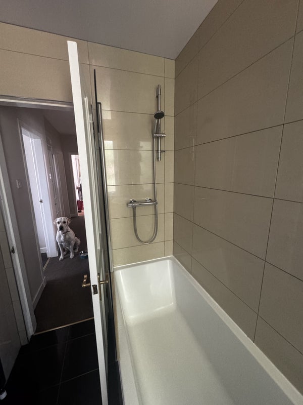 Room Sighthill Drive in City of Edinburgh