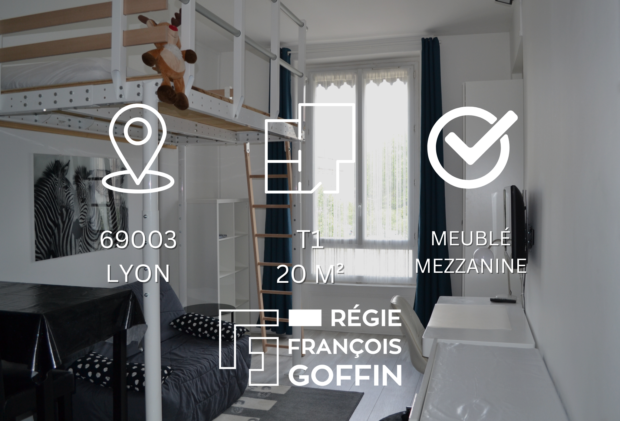 Flat Rue Villeroy in Lyon