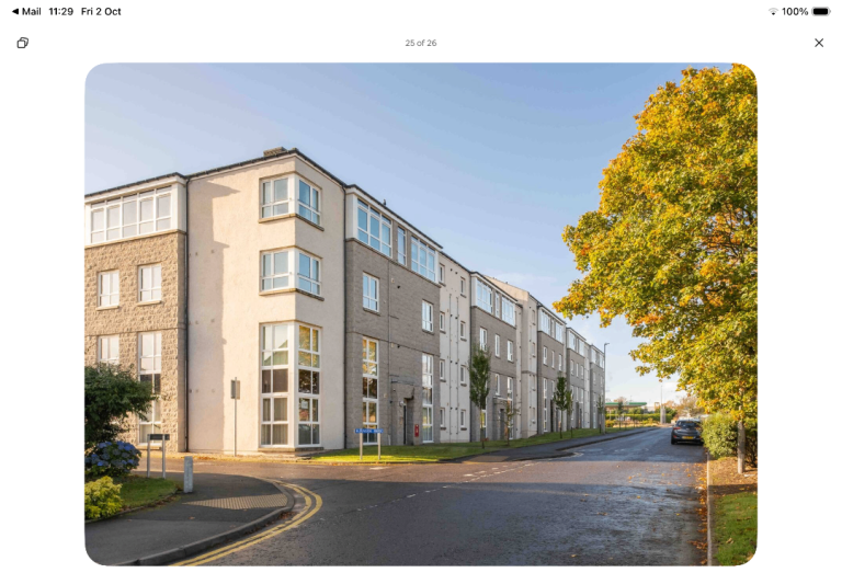 Flat Ryeland in Pitmedden