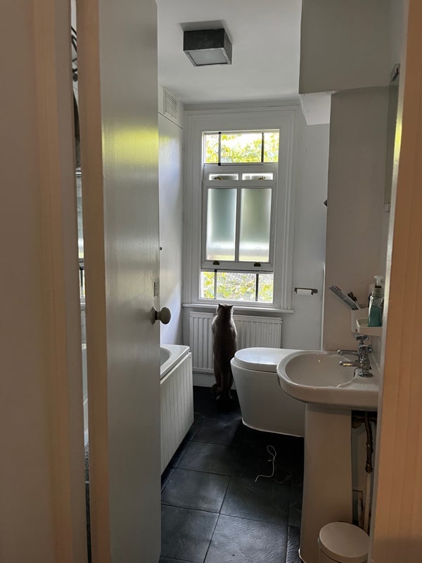 Room Tomlin's Grove in Greater London