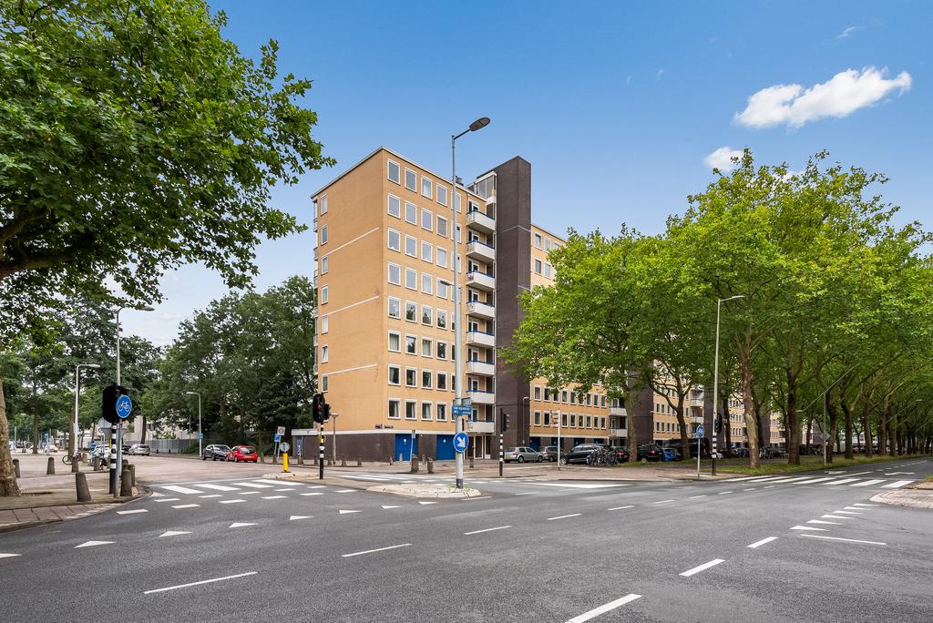 Van Nijenrodeweg