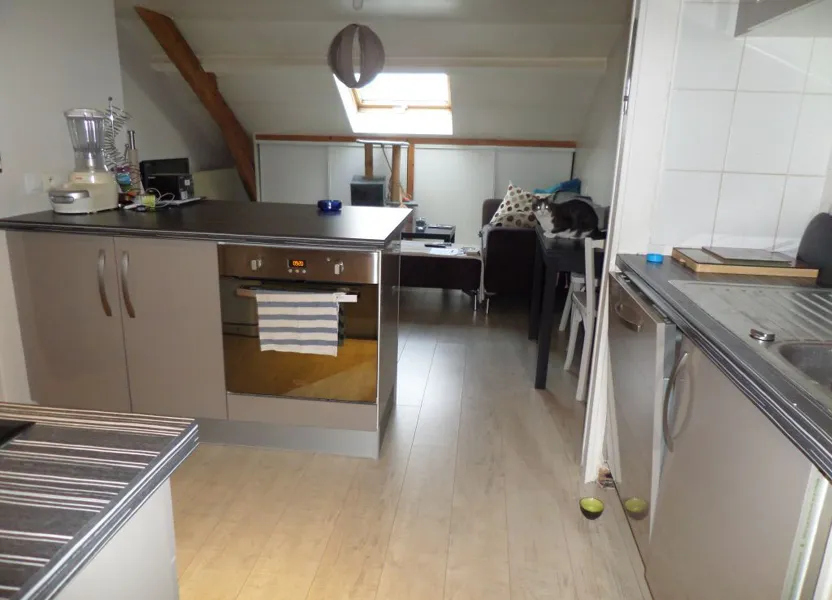 Appartement Avenue Ernest Ruben à Limoges