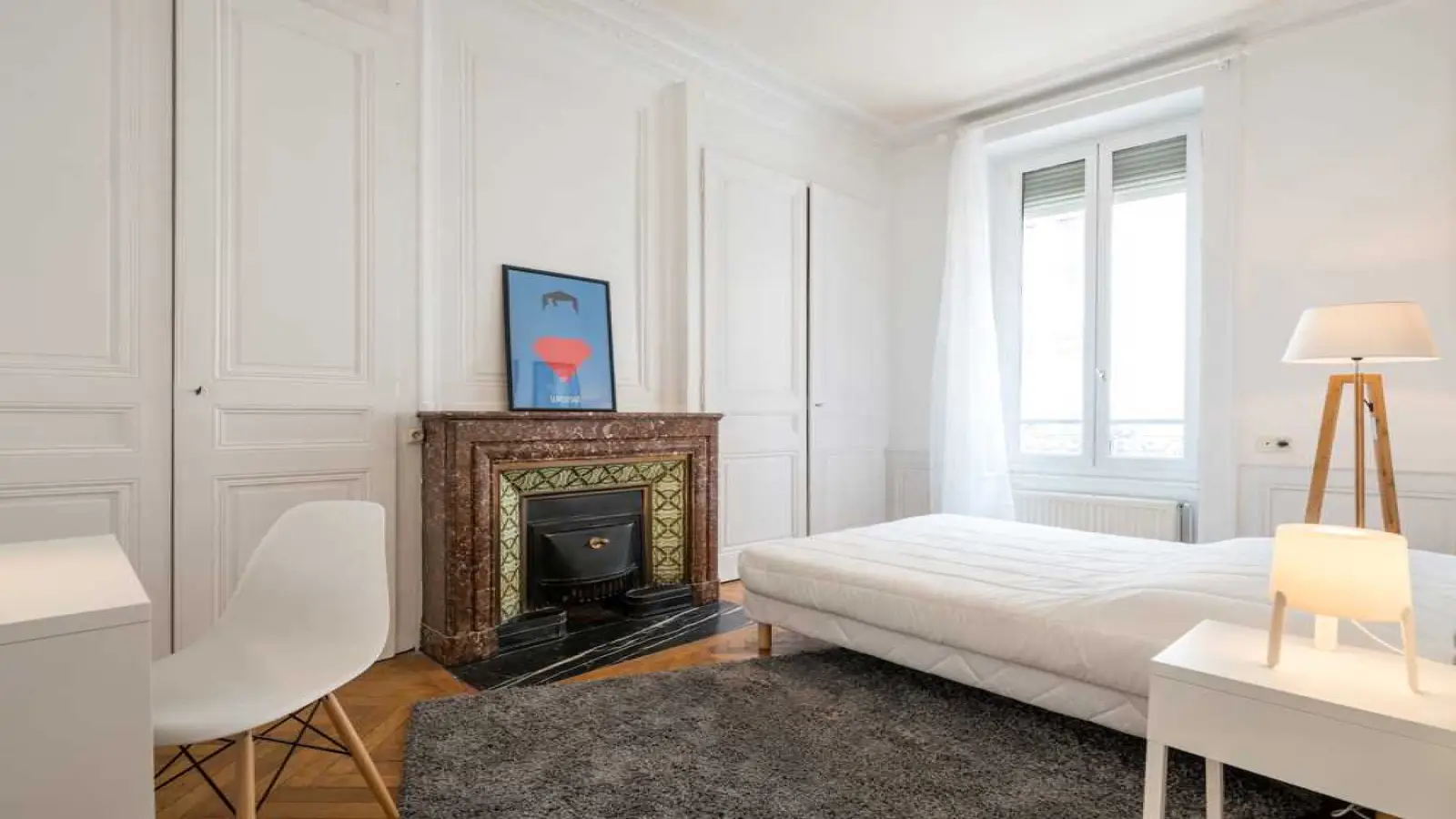 Chambre Rue Rabelais à Lyon