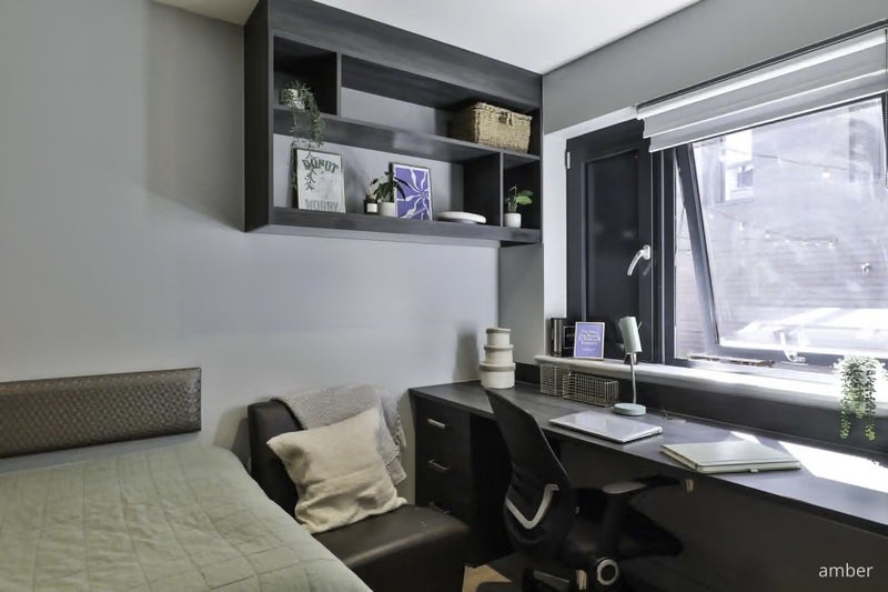 Room Windsor Lane in Cardiff