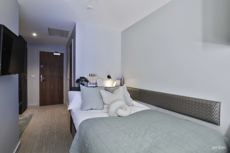 Room Windsor Lane in Cardiff