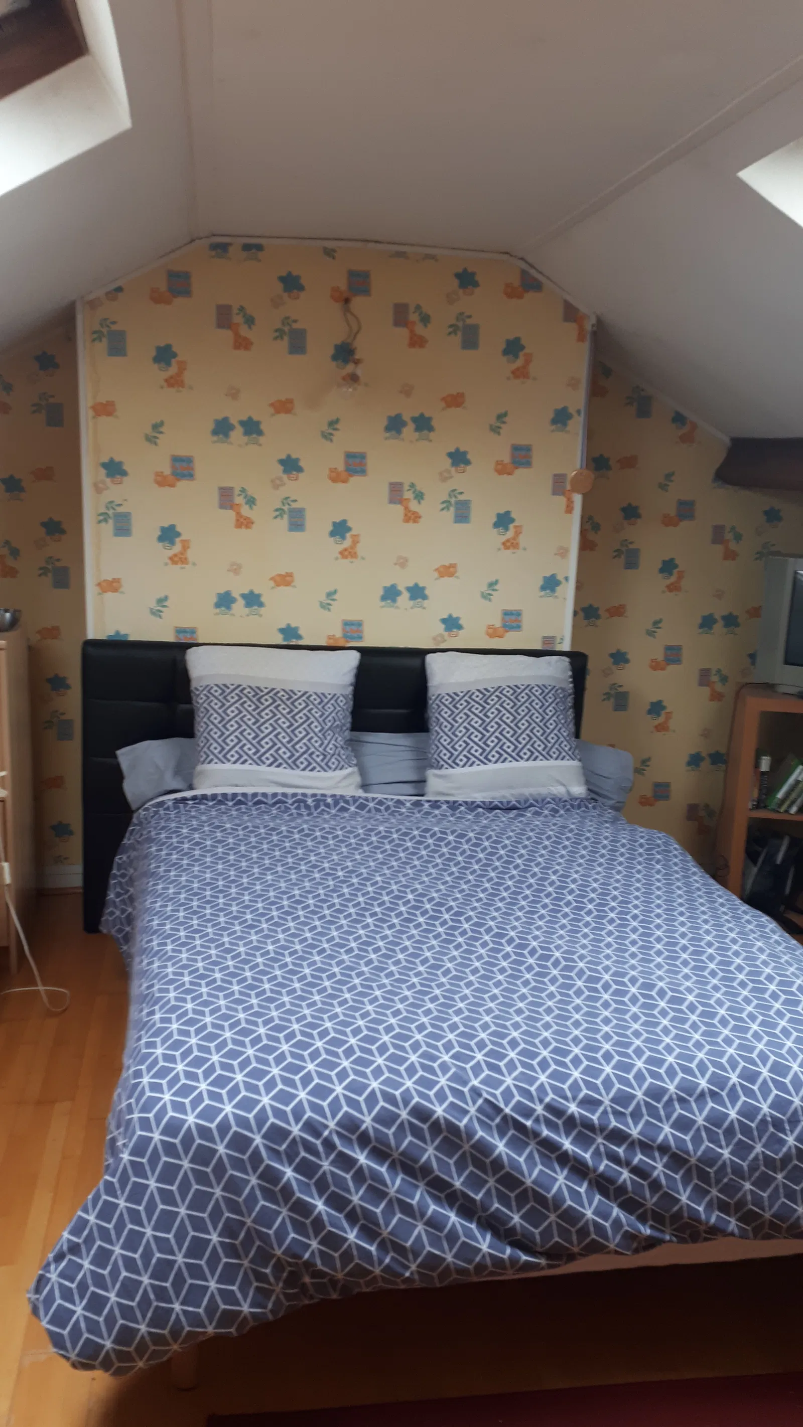 Room Rue Alphonse Duchesne in Sannois