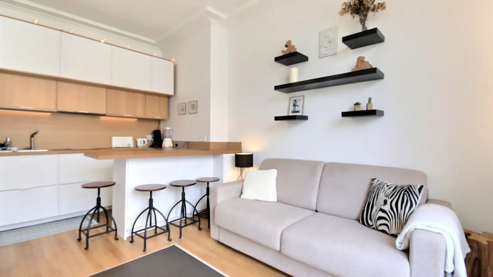 Flat Rue Jouvenet in Paris
