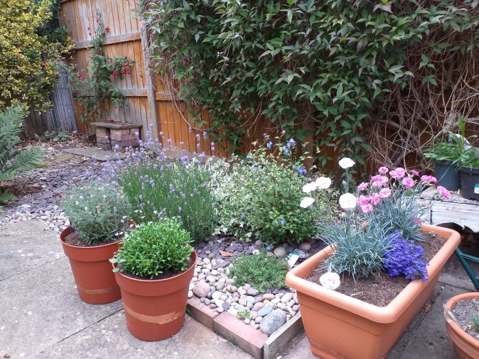 Room Vincent Road in Greater London
