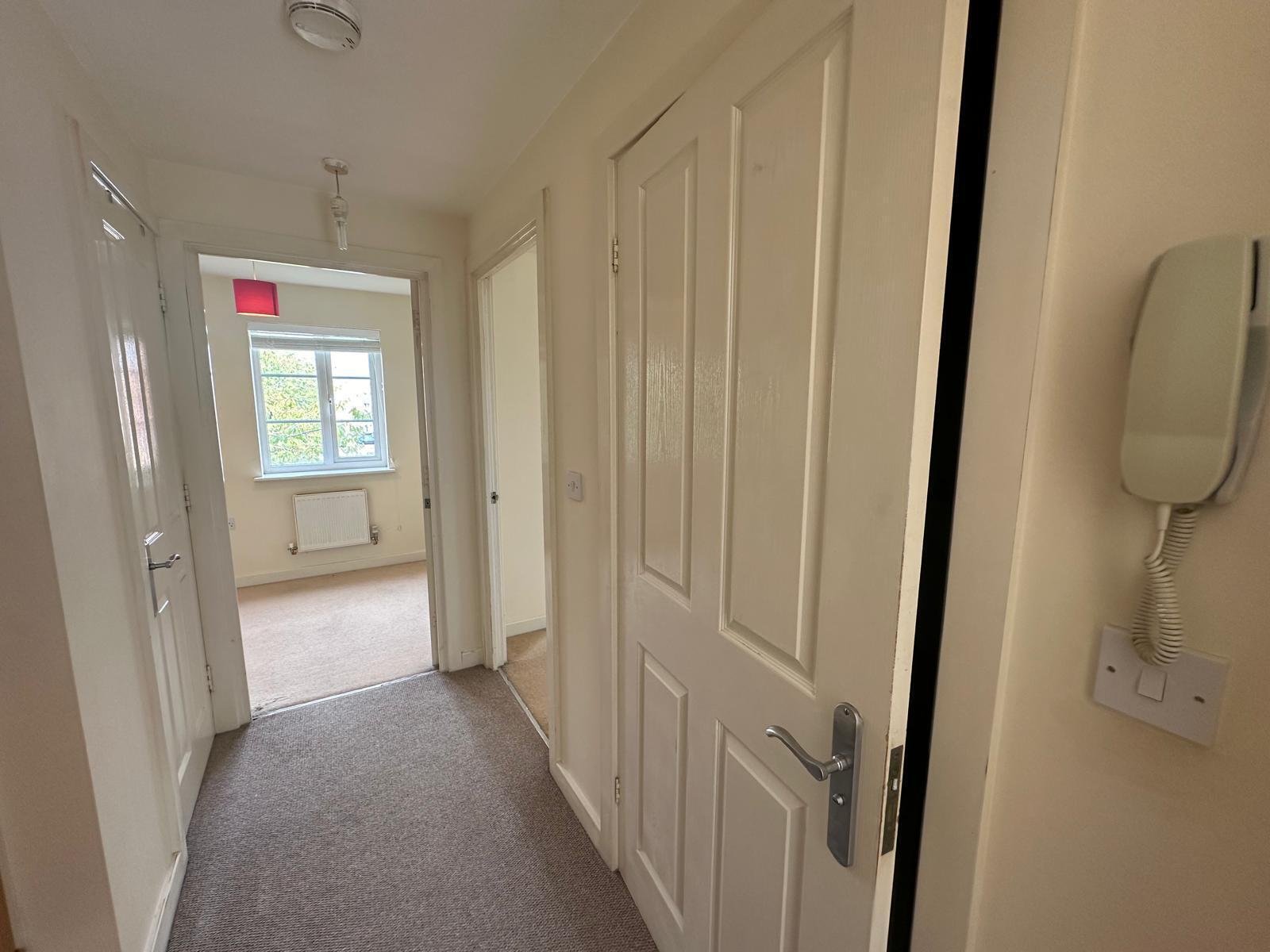 Flat Bluebell Rise in Grange Park