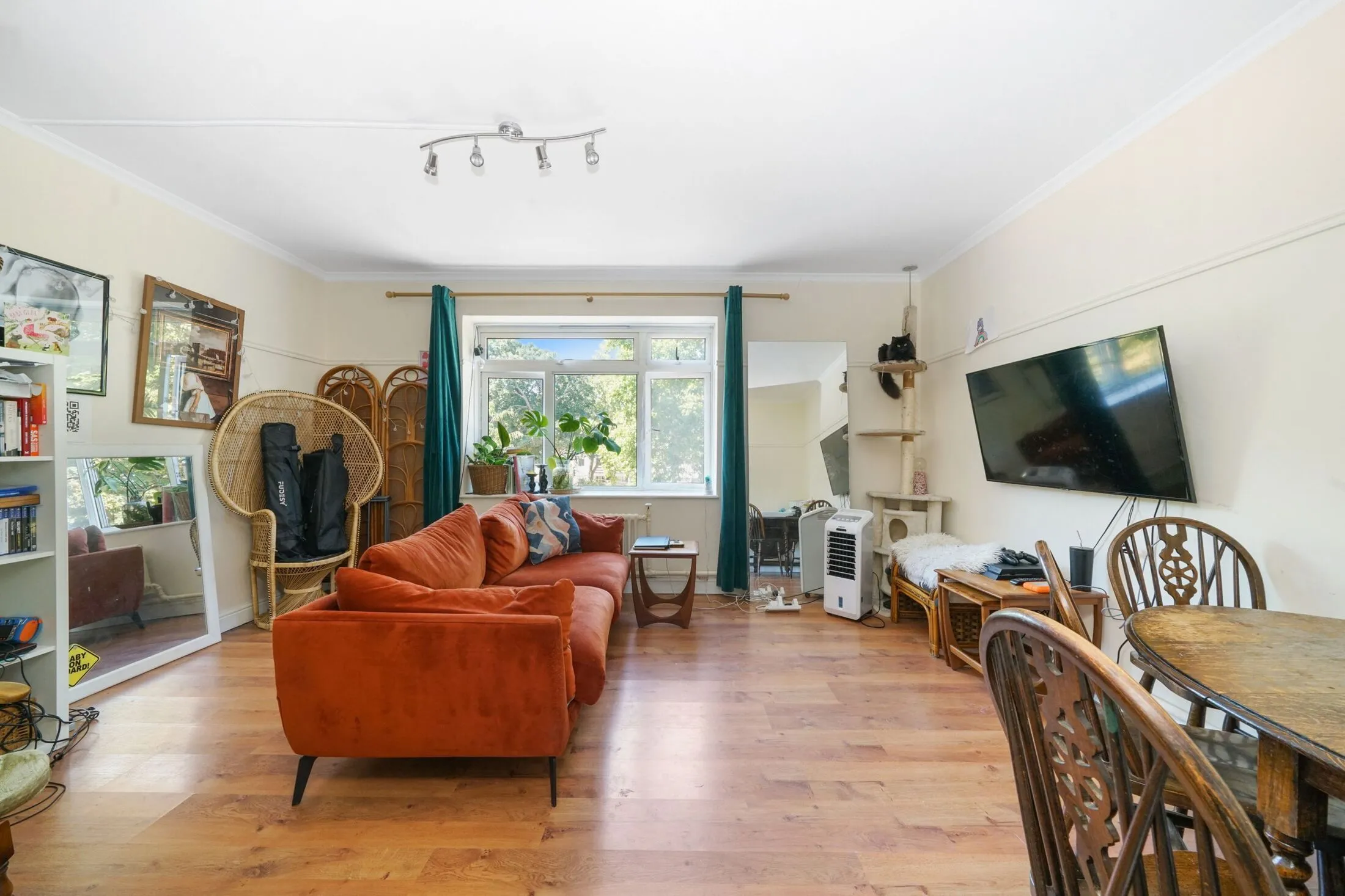 Flat Lapse Wood Walk in Greater London
