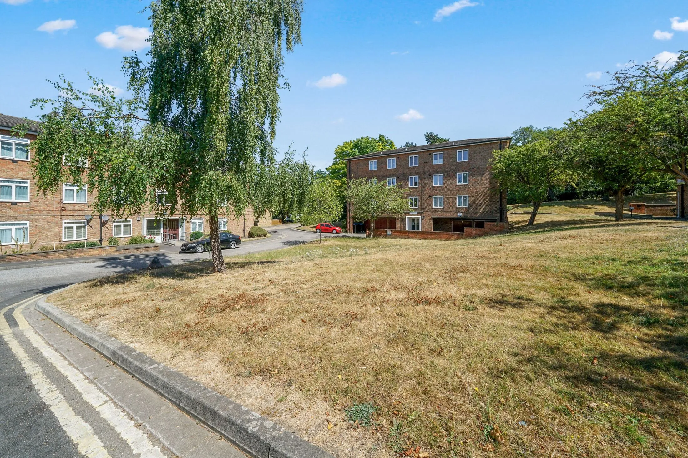 Flat Lapse Wood Walk in Greater London
