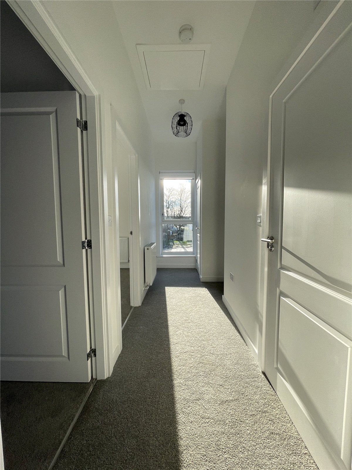 House Bird Close in Birmingham