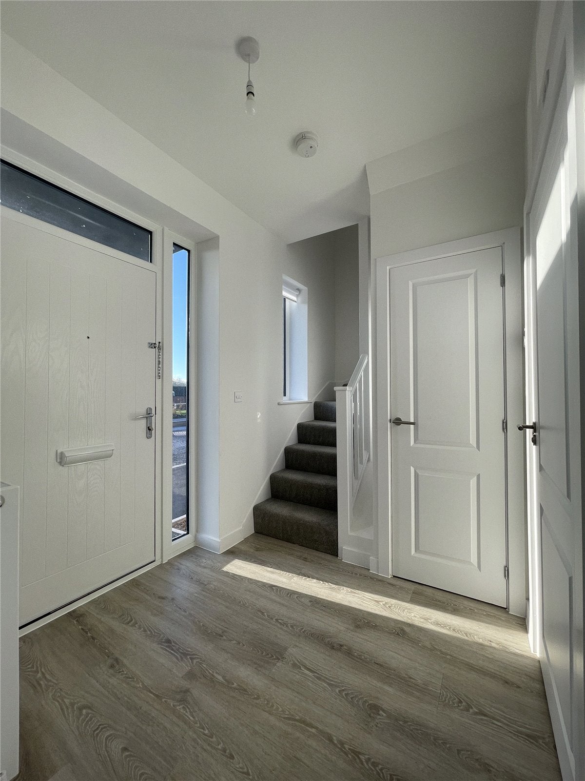 House Bird Close in Birmingham