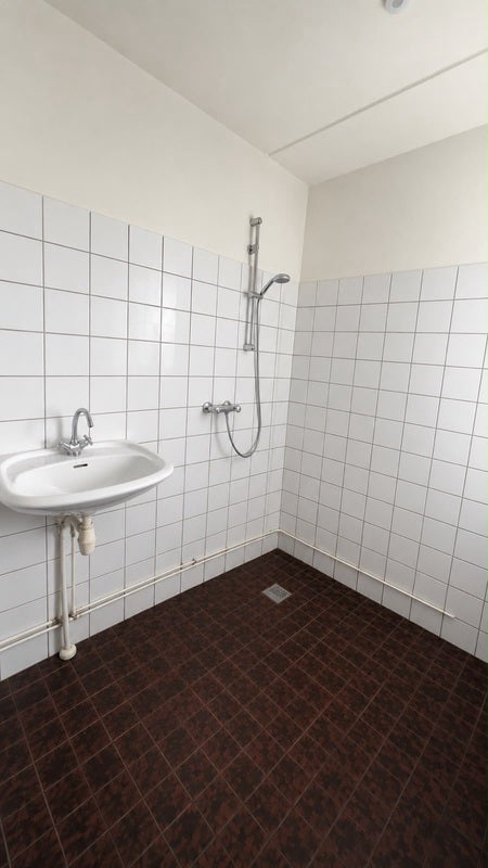 Appartement Hooizolder in Drachten