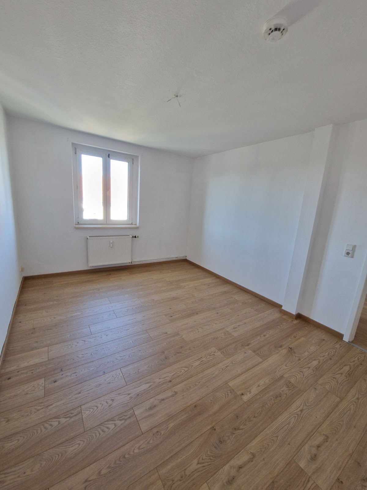 Wohnung Friedrich-Wolf-Straße in Wittenberg