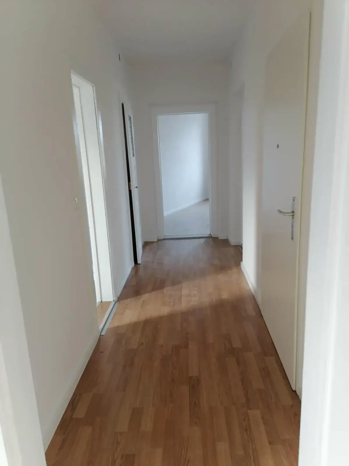 Wohnung Großenhainer Straße in Dresden
