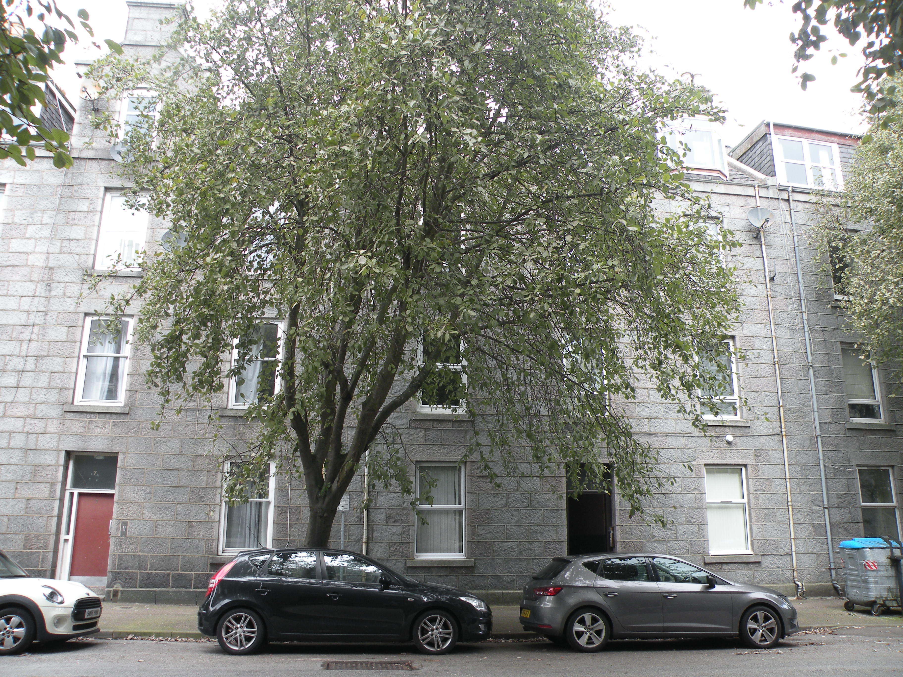 Flat Northfield Place in Aberdeen City
