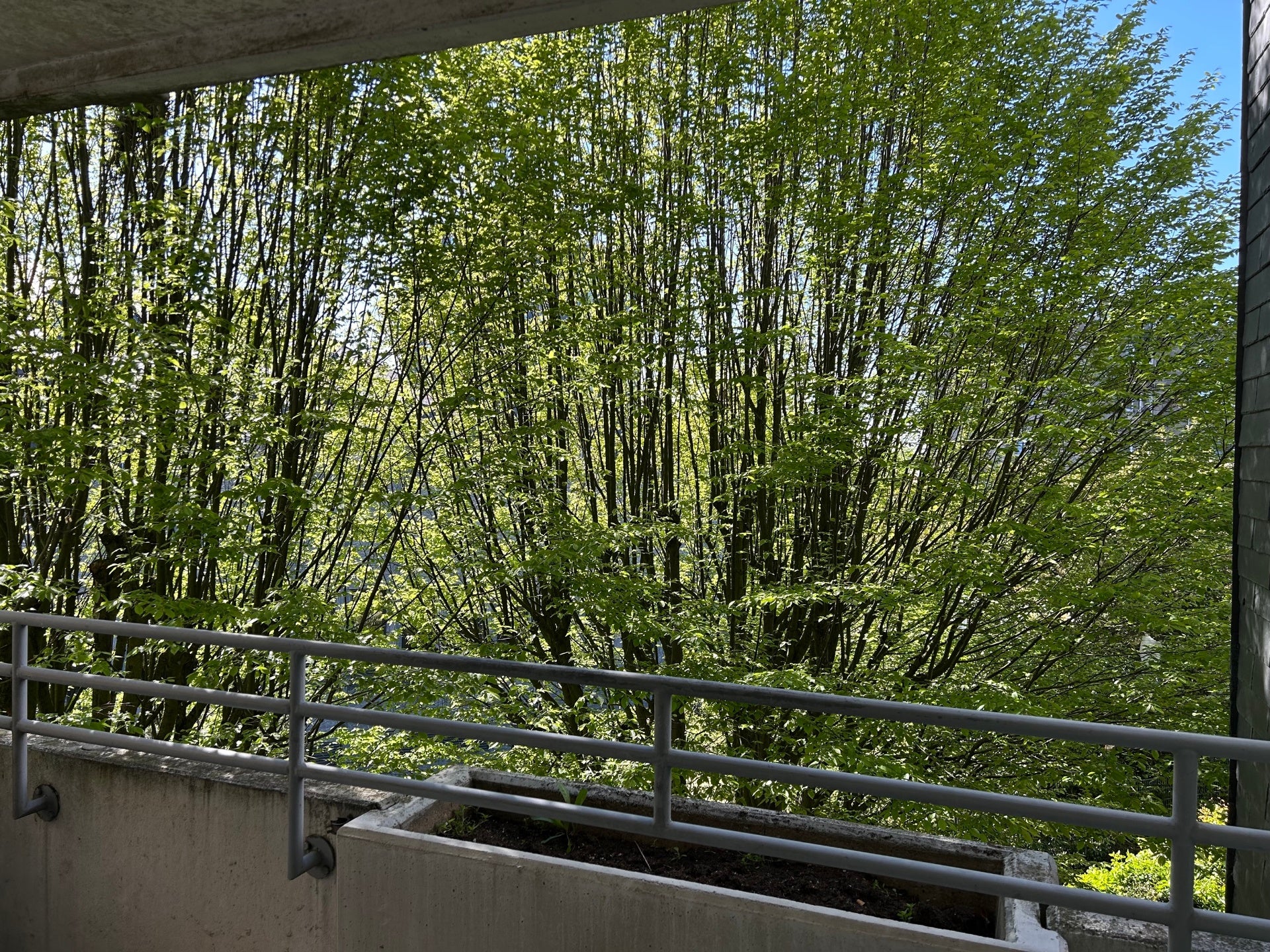 Wohnung Brunnengasse in Remscheid